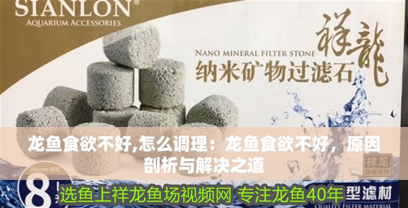 龍魚食欲不好,怎么調(diào)理：龍魚食欲不好，原因剖析與解決之道