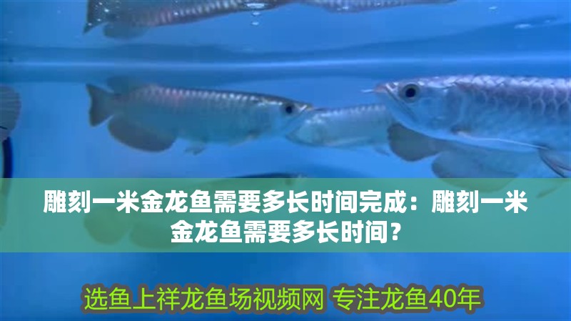 雕刻一米金龍魚需要多長時間完成：雕刻一米金龍魚需要多長時間？