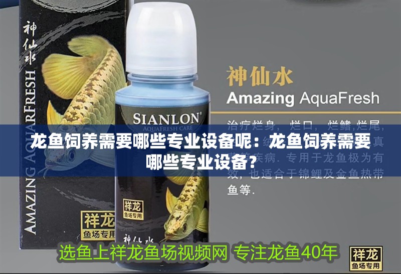 龍魚飼養需要哪些專業設備呢：龍魚飼養需要哪些專業設備？