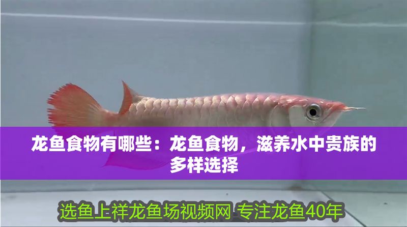 龍魚食物有哪些：龍魚食物，滋養水中貴族的多樣選擇 龍魚食物有哪些：龍魚食物，滋養水中貴族的多樣選擇 龍魚百科 第1張