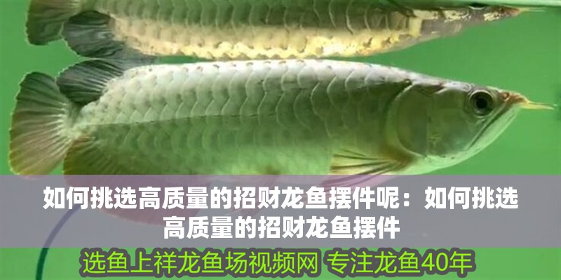 如何挑選高質量的招財龍魚擺件呢：如何挑選高質量的招財龍魚擺件