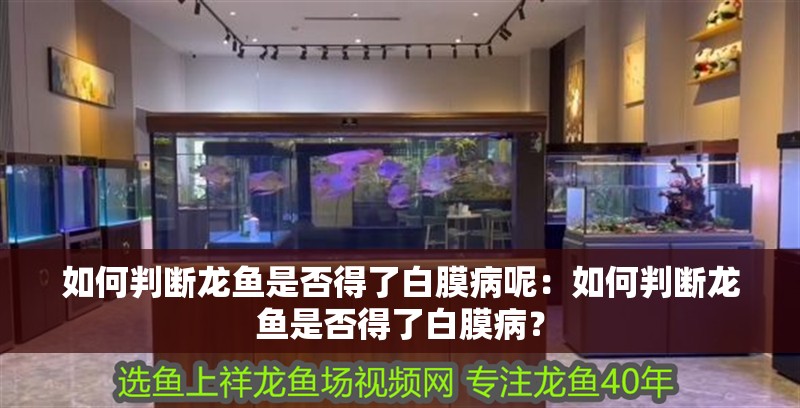 如何判斷龍魚是否得了白膜病呢：如何判斷龍魚是否得了白膜病？
