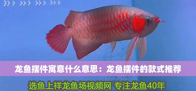 龍魚擺件寓意什么意思：龍魚擺件的款式推薦