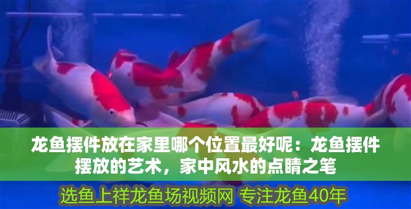 龍魚擺件放在家里哪個位置最好呢：龍魚擺件擺放的藝術，家中風水的點睛之筆