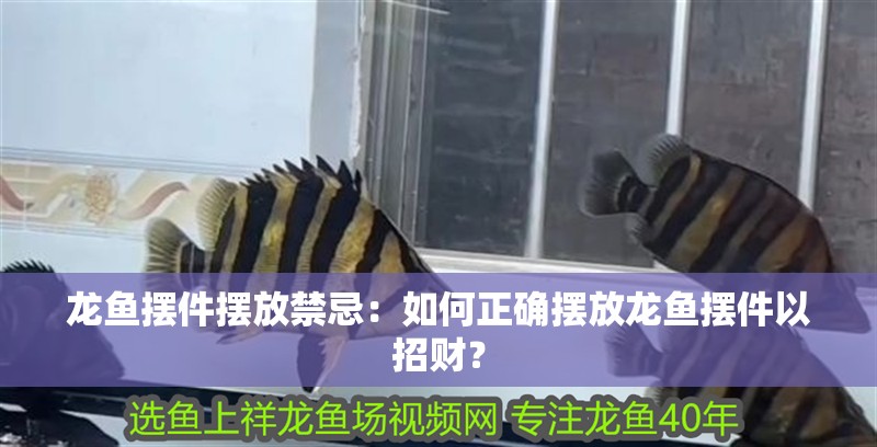 龍魚擺件擺放禁忌：如何正確擺放龍魚擺件以招財？