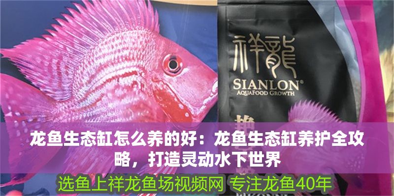 龍魚生態缸怎么養的好：龍魚生態缸養護全攻略，打造靈動水下世界