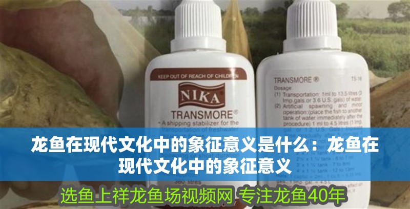 龍魚在現代文化中的象征意義是什么：龍魚在現代文化中的象征意義