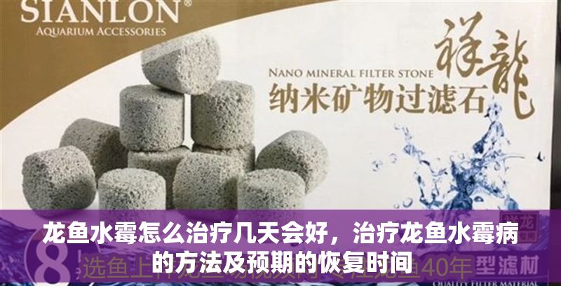 龍魚水霉怎么治療幾天會好，治療龍魚水霉病的方法及預期的恢復時間