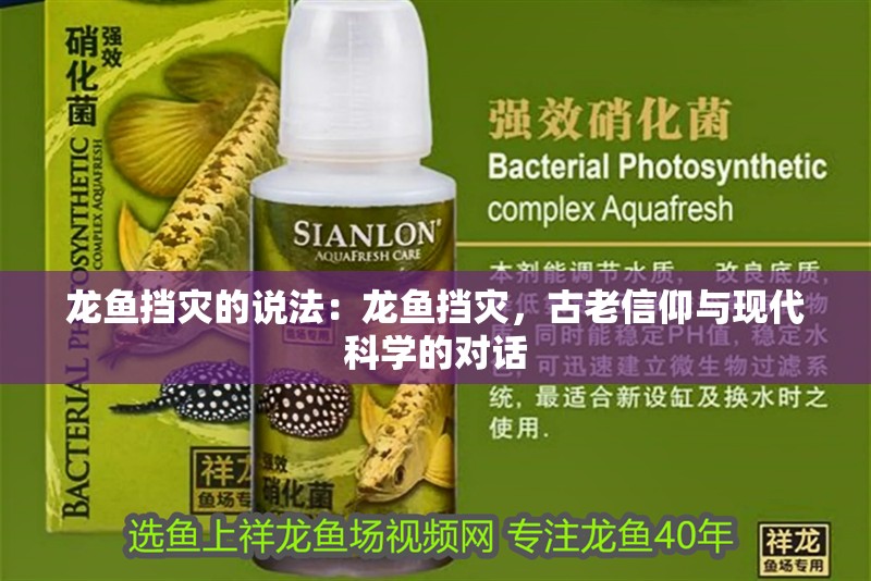 龍魚擋災的說法：龍魚擋災，古老信仰與現代科學的對話