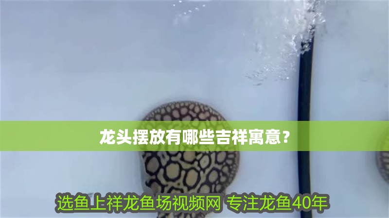 龍頭擺放有哪些吉祥寓意？ 龍頭擺放有哪些吉祥寓意？ 龍魚百科