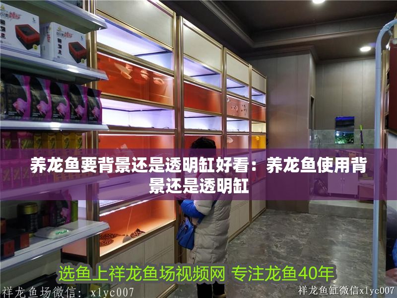 養(yǎng)龍魚要背景還是透明缸好看：養(yǎng)龍魚使用背景還是透明缸