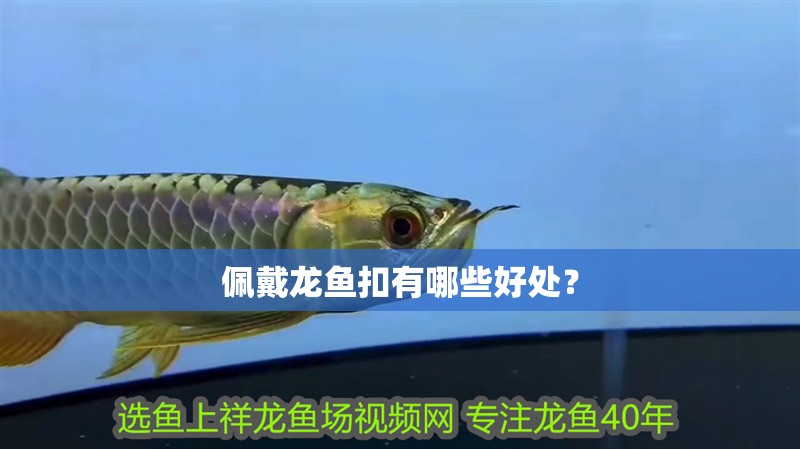 佩戴龍魚(yú)扣有哪些好處？