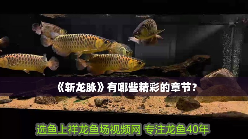 《斬龍脈》有哪些精彩的章節？