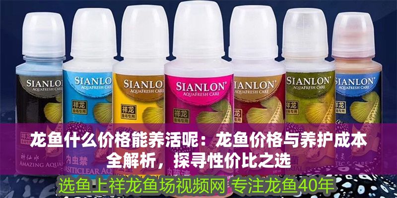 龍魚(yú)什么價(jià)格能養(yǎng)活呢：龍魚(yú)價(jià)格與養(yǎng)護(hù)成本全解析，探尋性價(jià)比之選