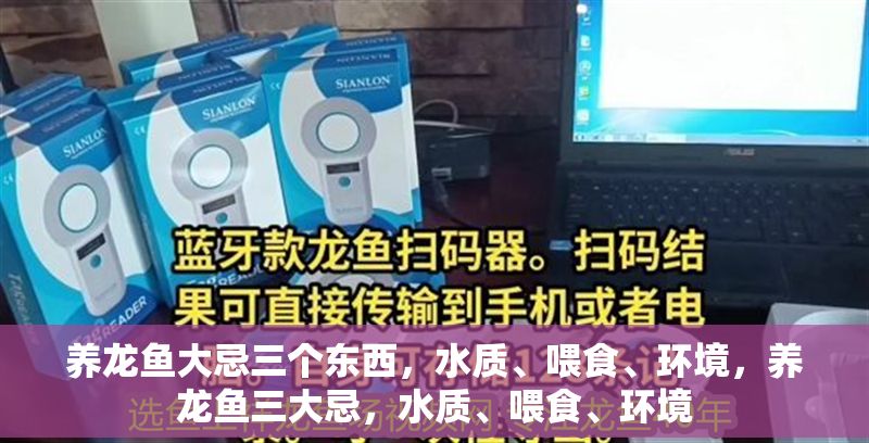 養龍魚大忌三個東西，水質、喂食、環境，養龍魚三大忌，水質、喂食、環境 養龍魚大忌三個東西，水質、喂食、環境，養龍魚三大忌，水質、喂食、環境 龍魚百科 第1張