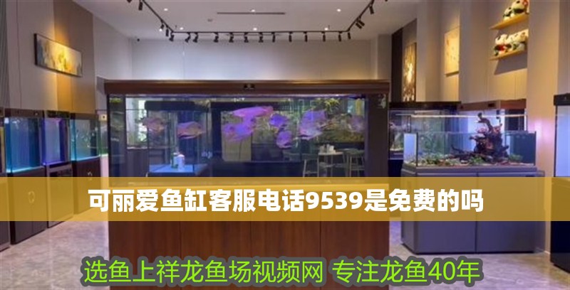 可麗愛魚缸客服電話9539是免費的嗎