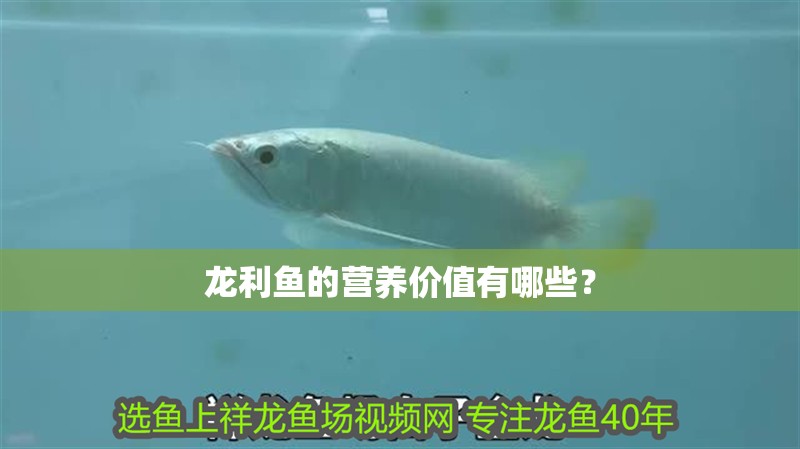龍利魚的營養(yǎng)價值有哪些？