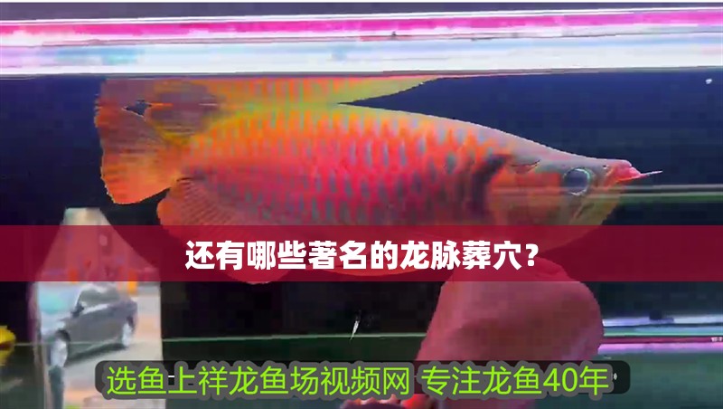 還有哪些著名的龍脈葬穴？