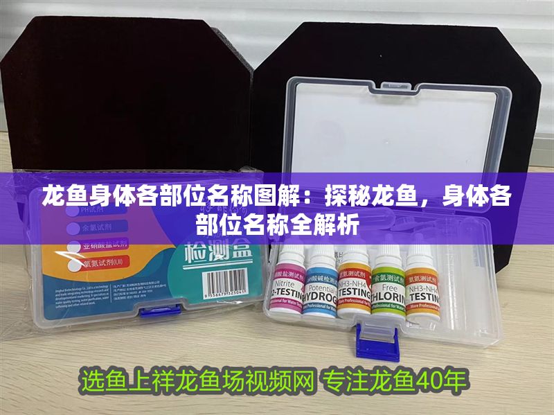 龍魚(yú)身體各部位名稱圖解：探秘龍魚(yú)，身體各部位名稱全解析