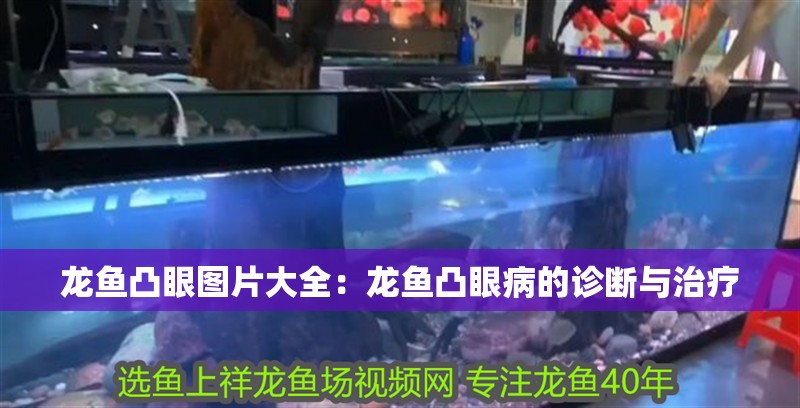 龍魚凸眼圖片大全：龍魚凸眼病的診斷與治療