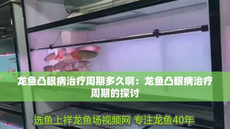 龍魚凸眼病治療周期多久啊：龍魚凸眼病治療周期的探討
