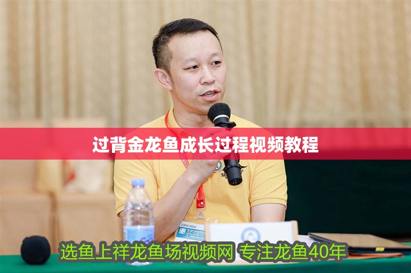 過(guò)背金龍魚(yú)成長(zhǎng)過(guò)程視頻教程