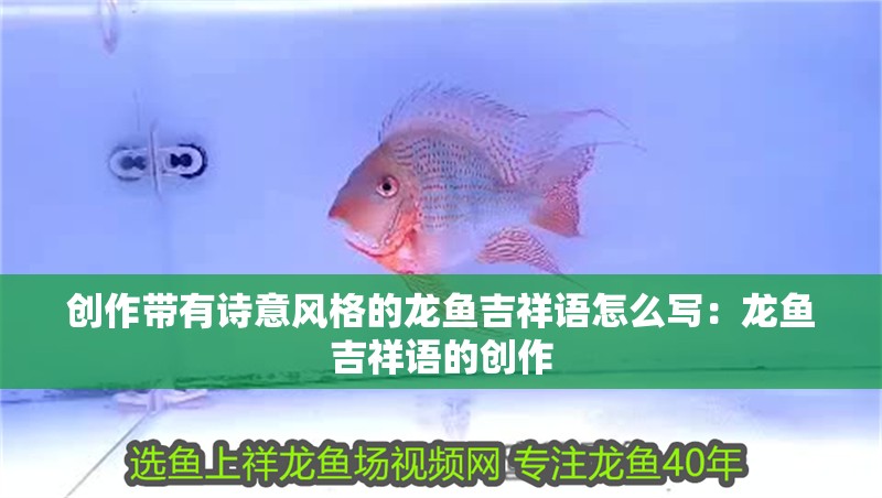 創作帶有詩意風格的龍魚吉祥語怎么寫：龍魚吉祥語的創作