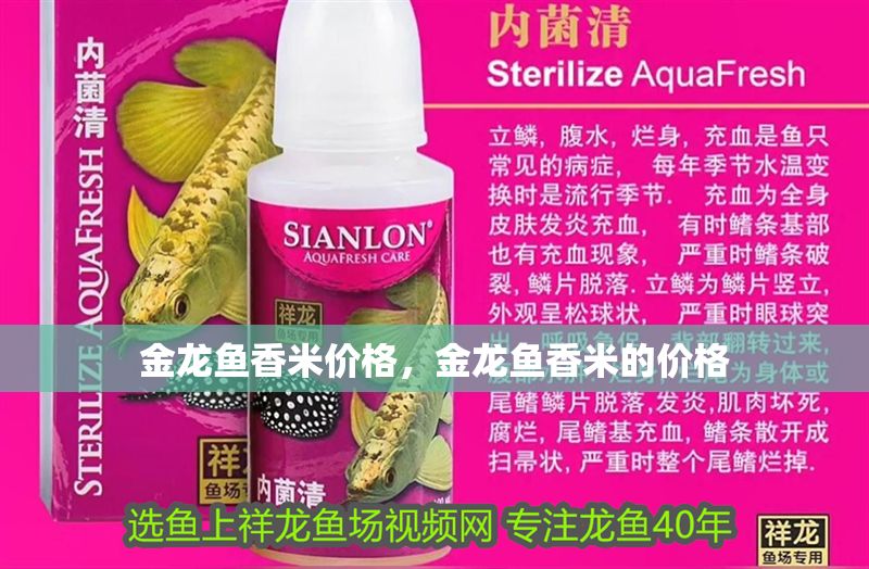 金龍魚香米價格，金龍魚香米的價格