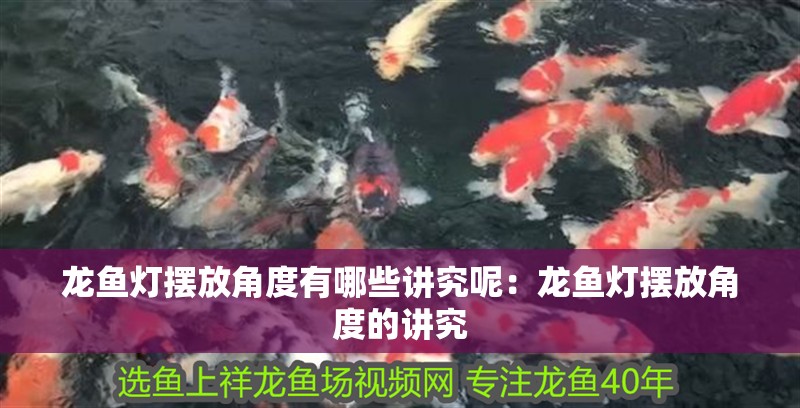 龍魚燈擺放角度有哪些講究呢：龍魚燈擺放角度的講究