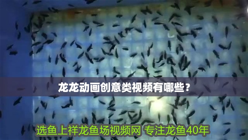 龍龍動畫創(chuàng)意類視頻有哪些？