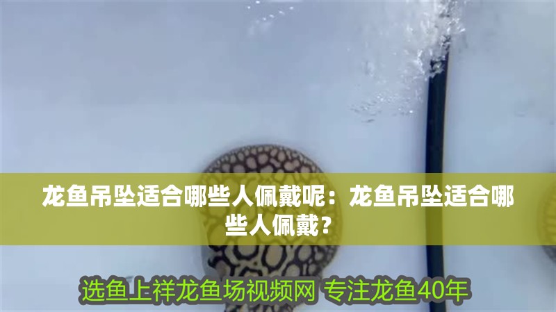 龍魚吊墜適合哪些人佩戴呢：龍魚吊墜適合哪些人佩戴？