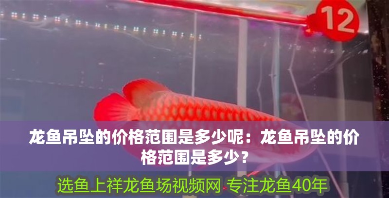 龍魚吊墜的價格范圍是多少呢：龍魚吊墜的價格范圍是多少？