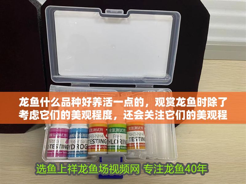 龍魚什么品種好養活一點的，觀賞龍魚時除了考慮它們的美觀程度，還會關注它們的美觀程度