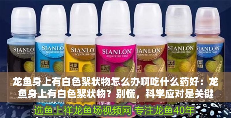 龍魚身上有白色絮狀物怎么辦啊吃什么藥好：龍魚身上有白色絮狀物？別慌，科學(xué)應(yīng)對是關(guān)鍵