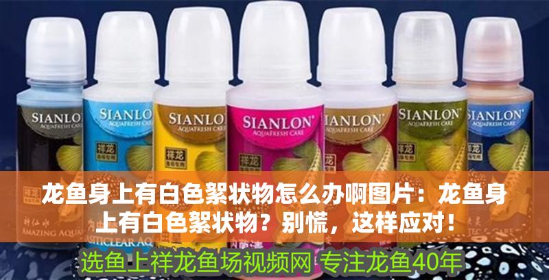 龍魚身上有白色絮狀物怎么辦啊圖片:龍魚身上有白色絮狀物?別慌,這樣應對! 龍魚百科 第1張 龍魚身上有白色絮狀物怎么辦啊圖片:龍魚身上有白色絮狀物?別慌,這樣應對! 龍魚身上有白色絮狀物怎么辦啊圖片:龍魚身上有白色絮狀物?別慌,這樣應對! 龍魚百科 第1張