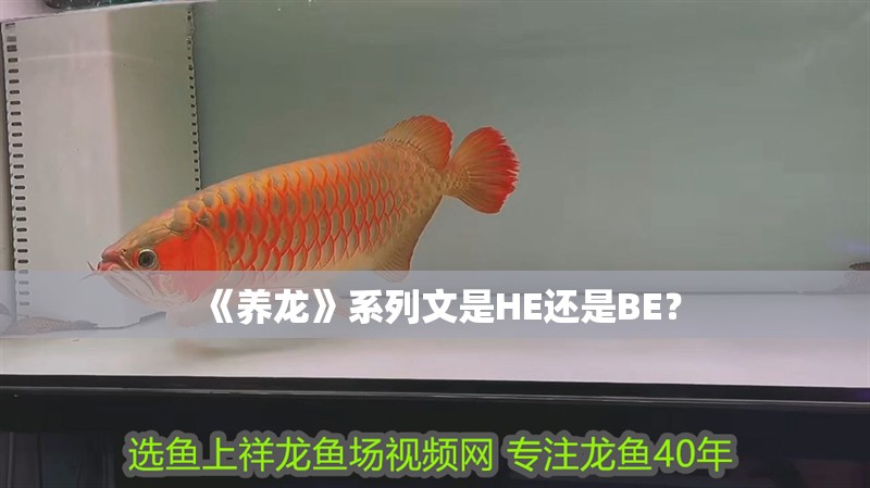 《養(yǎng)龍》系列文是HE還是BE？