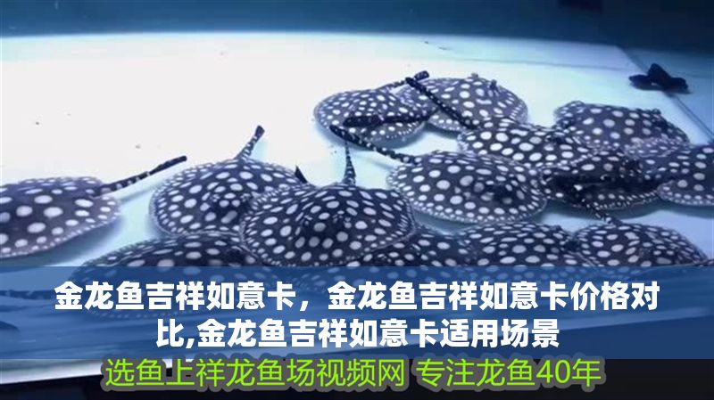 金龍魚吉祥如意卡，金龍魚吉祥如意卡價格對比,金龍魚吉祥如意卡適用場景