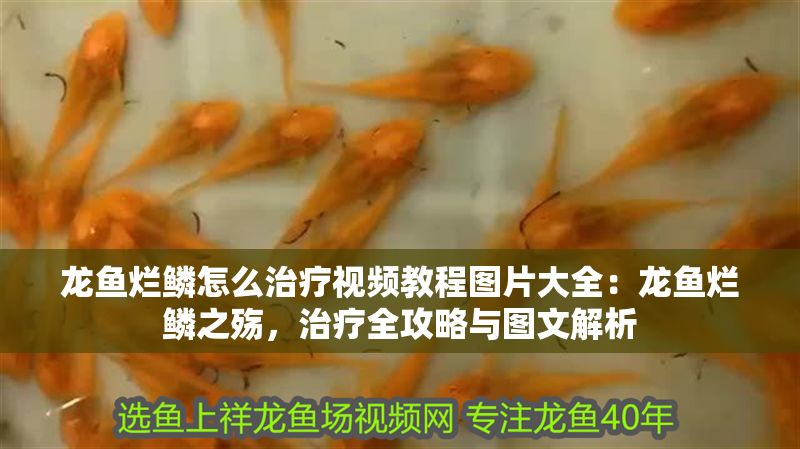 龍魚爛鱗怎么治療視頻教程圖片大全：龍魚爛鱗之殤，治療全攻略與圖文解析