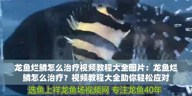 龍魚爛鱗怎么治療視頻教程大全圖片：龍魚爛鱗怎么治療？視頻教程大全助你輕松應對