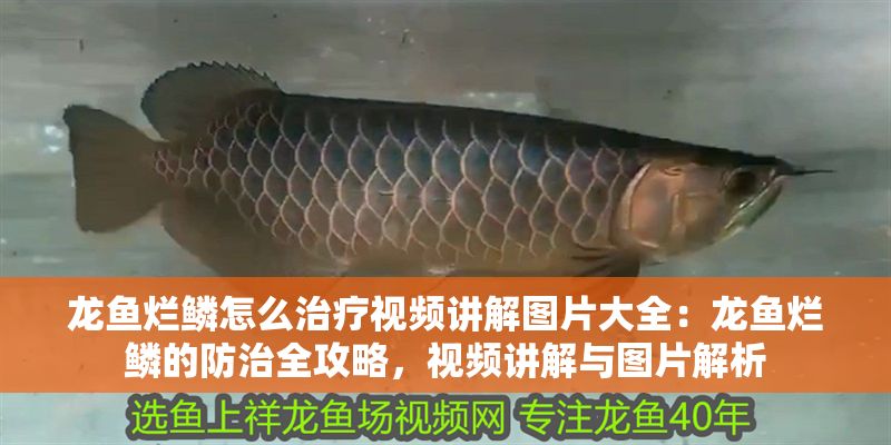 龍魚爛鱗怎么治療視頻講解圖片大全：龍魚爛鱗的防治全攻略，視頻講解與圖片解析