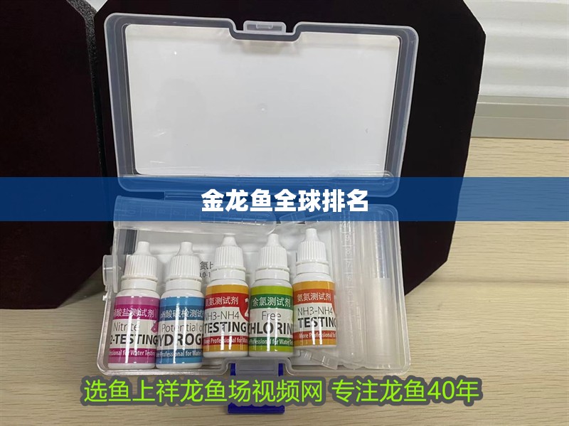 金龍魚全球排名