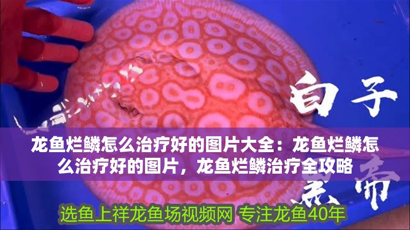 龍魚爛鱗怎么治療好的圖片大全：龍魚爛鱗怎么治療好的圖片，龍魚爛鱗治療全攻略