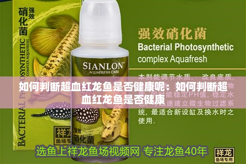 如何判斷超血紅龍魚是否健康呢：如何判斷超血紅龍魚是否健康