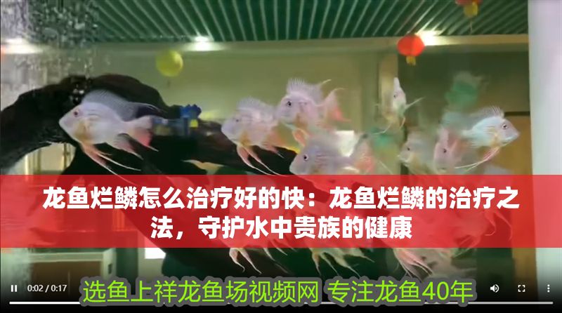 龍魚爛鱗怎么治療好的快：龍魚爛鱗的治療之法，守護水中貴族的健康