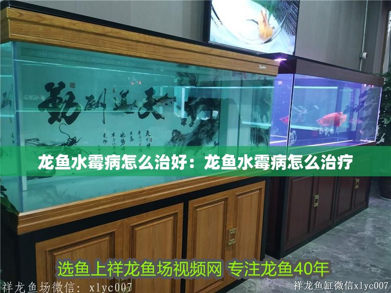 龍魚水霉病怎么治好：龍魚水霉病怎么治療