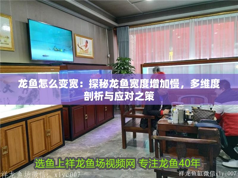 龍魚怎么變寬：探秘龍魚寬度增加慢，多維度剖析與應(yīng)對之策