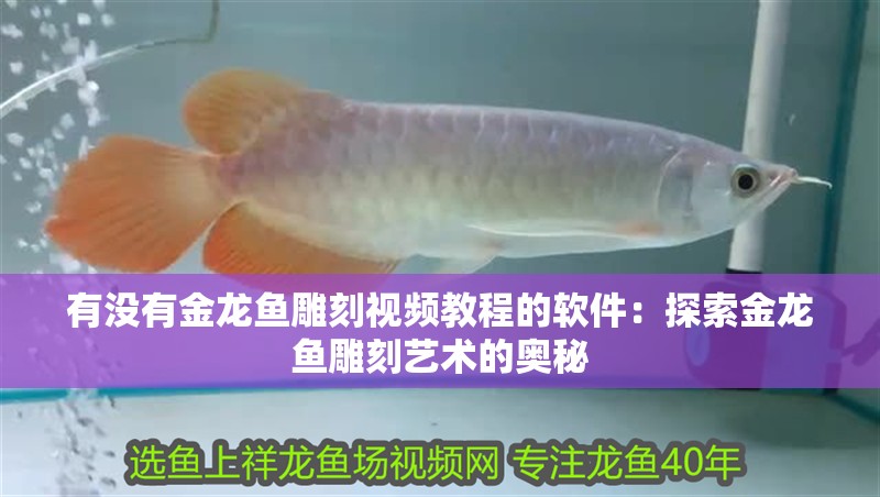 有沒有金龍魚雕刻視頻教程的軟件：探索金龍魚雕刻藝術的奧秘