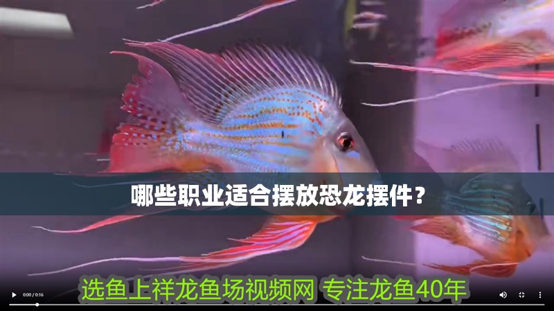 哪些職業(yè)適合擺放恐龍擺件？ 哪些職業(yè)適合擺放恐龍擺件？ 龍魚百科