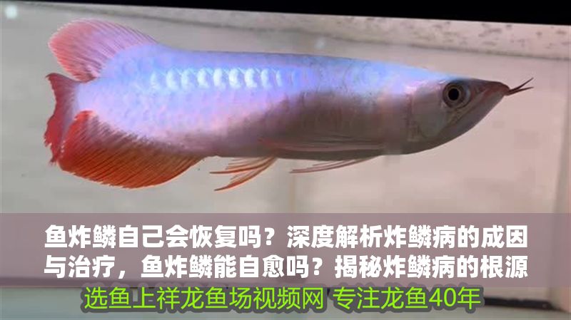 魚炸鱗自己會恢復嗎？深度解析炸鱗病的成因與治療，魚炸鱗能自愈嗎？揭秘炸鱗病的根源與科學治療方法