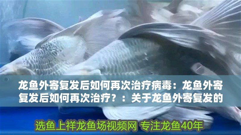 龍魚外寄復發后如何再次治療病毒：龍魚外寄復發后如何再次治療？：關于龍魚外寄復發的治療